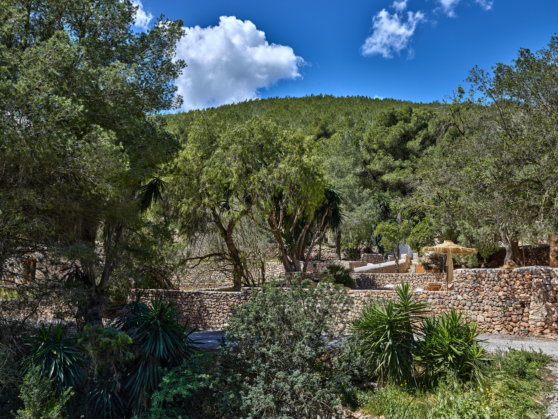 Resa Esatates for sale finca st rafael Ibiza modern 1 campo 3.jpg